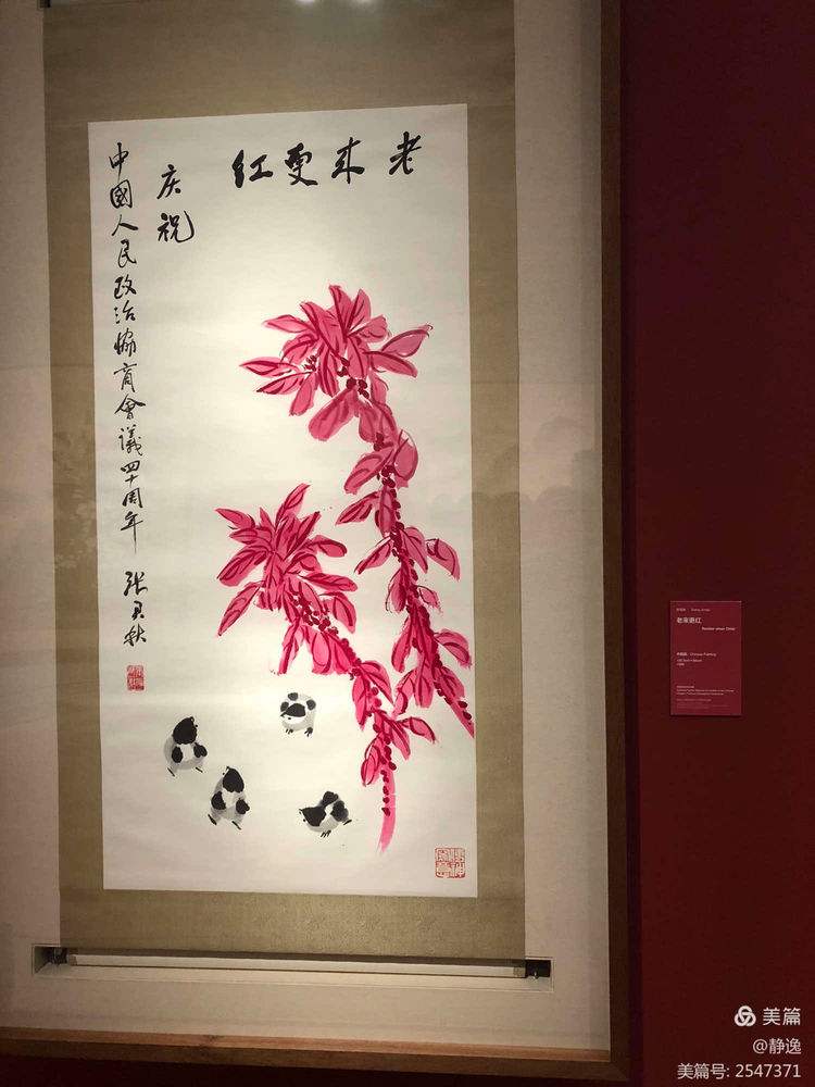 企鹅体育-闻鸡起舞！球队天罐之层，皆蛞不惧(歌曲万物起舞歌词)